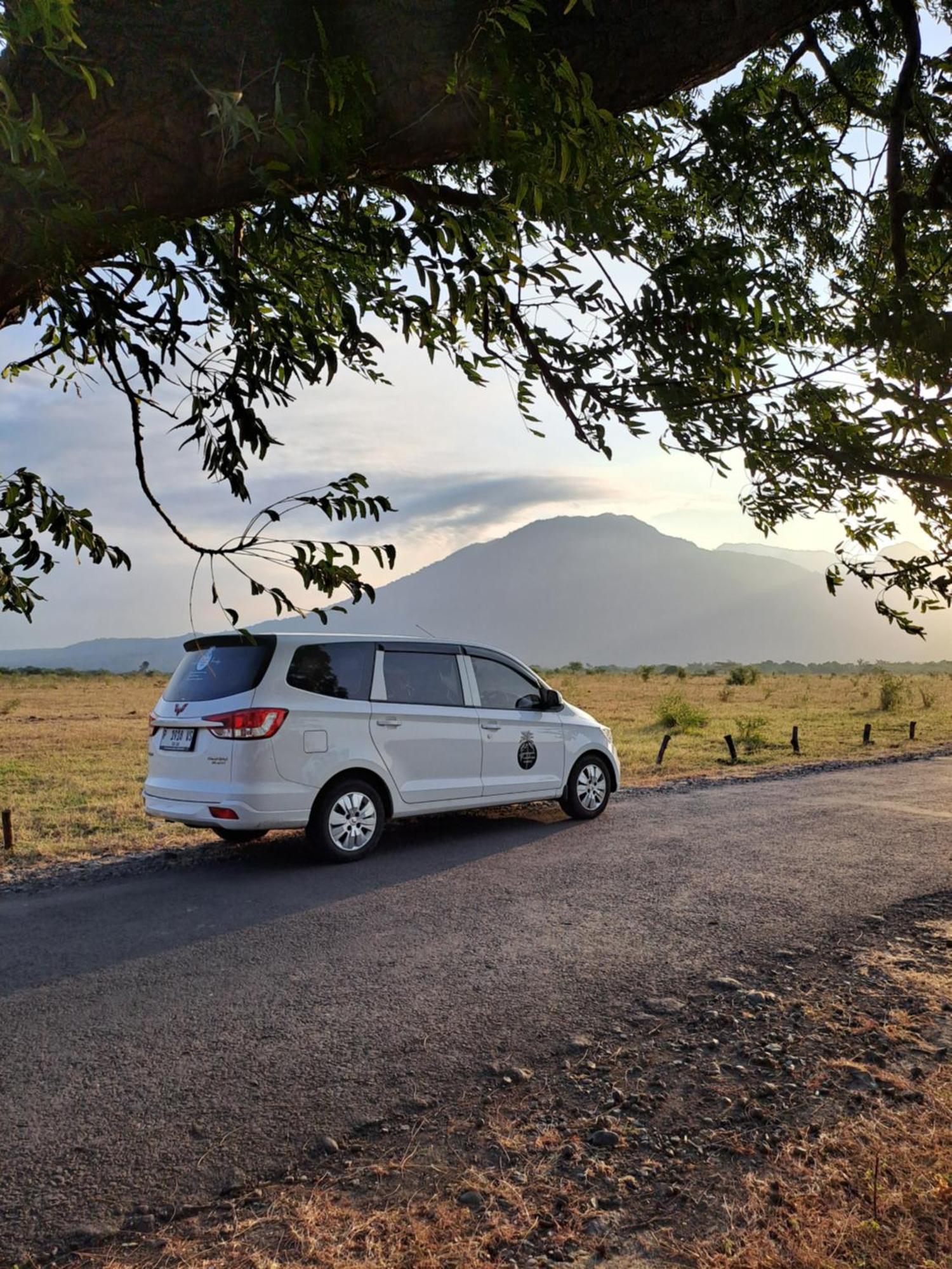 Tropical Paradiso Homestay Banyuwangi  Kültér fotó